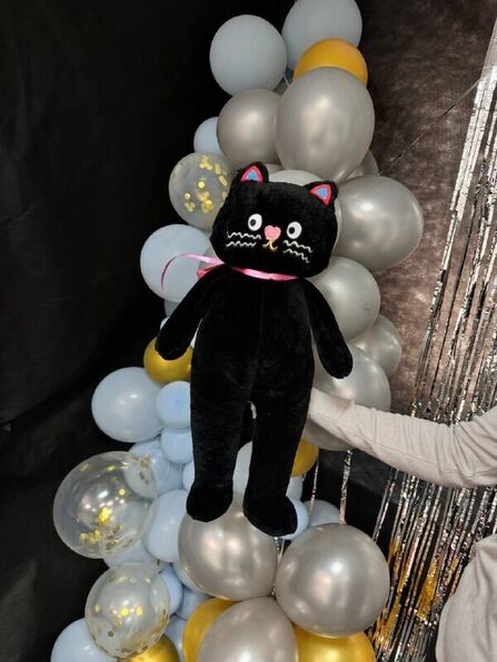 Кот "Черныш"